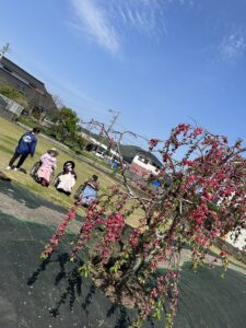 お散歩して桜を見に行きました②