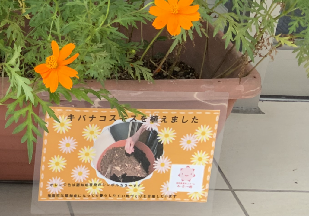 咲きました🌼