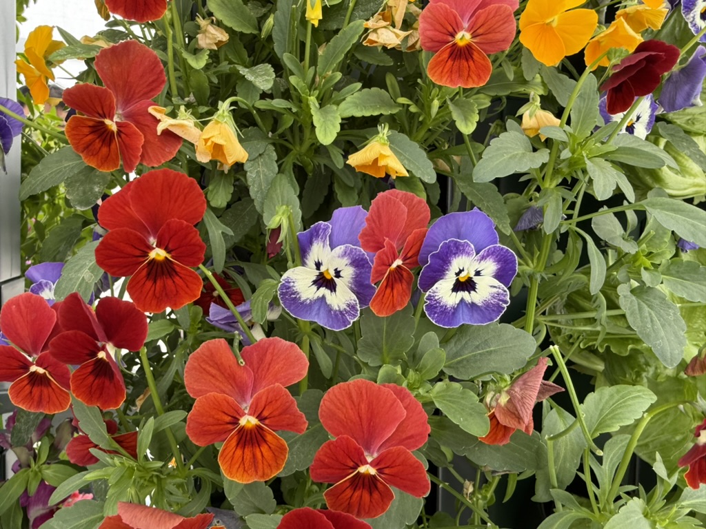 障がい者週間によせて➖就労継続支援B型事業所「アルコ」について